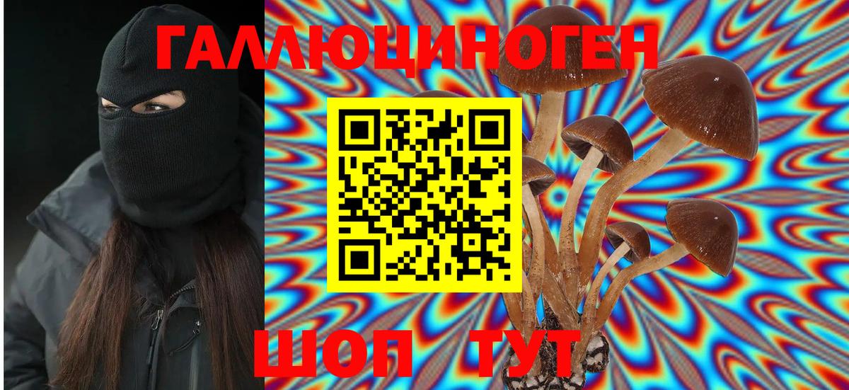 Галлюциногенные грибы GOLDEN TEACHER Качканар